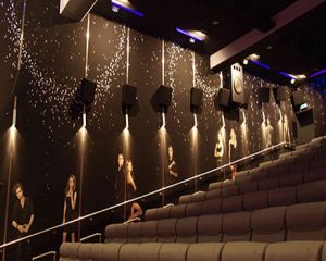 sinema salonu ses yalitimi9